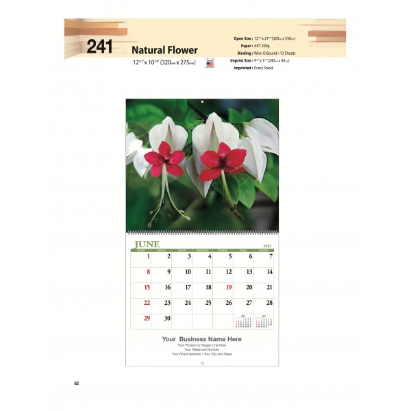 25-SJBW-241 Nature Flower (US 전용)